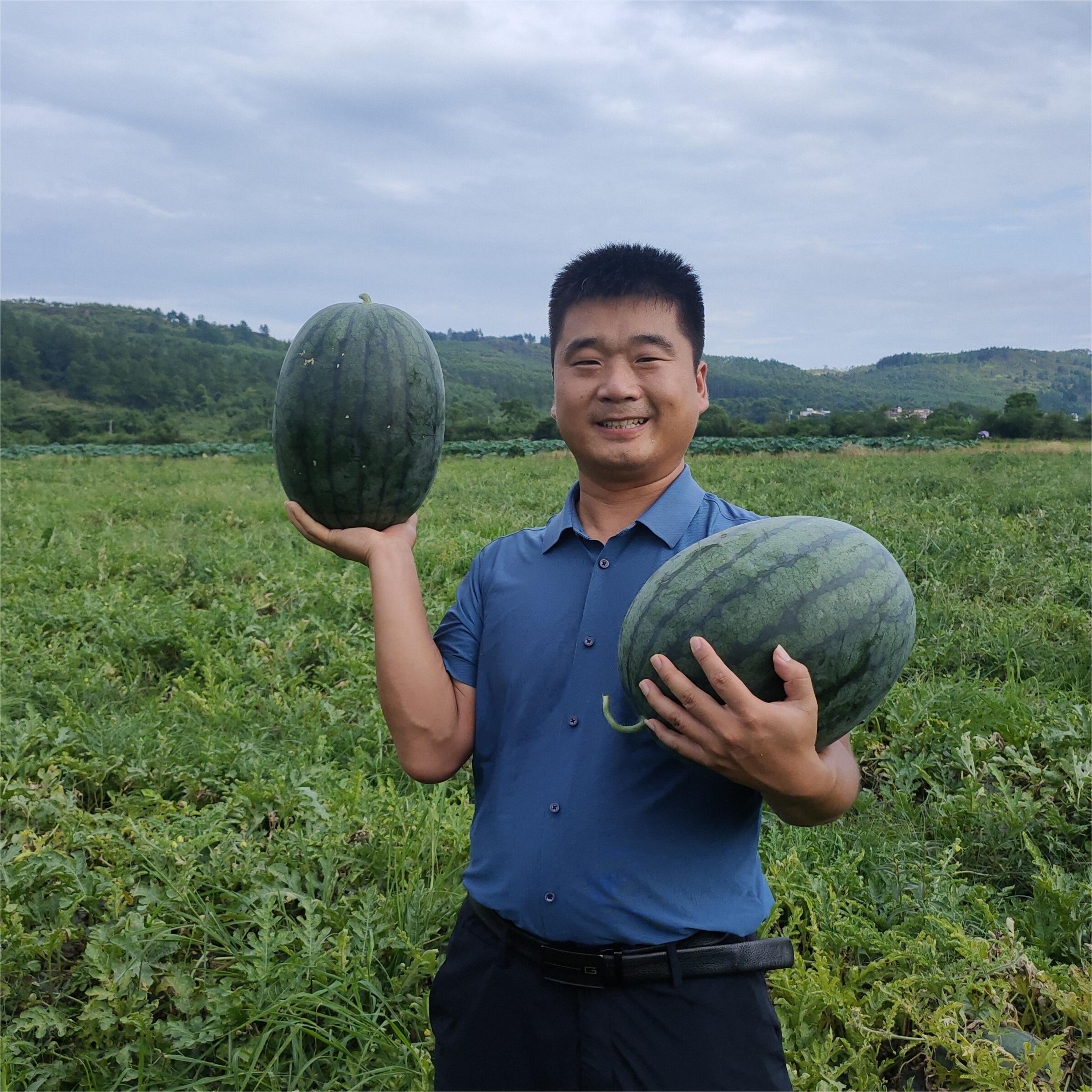 豫藝黑娃二號(hào)