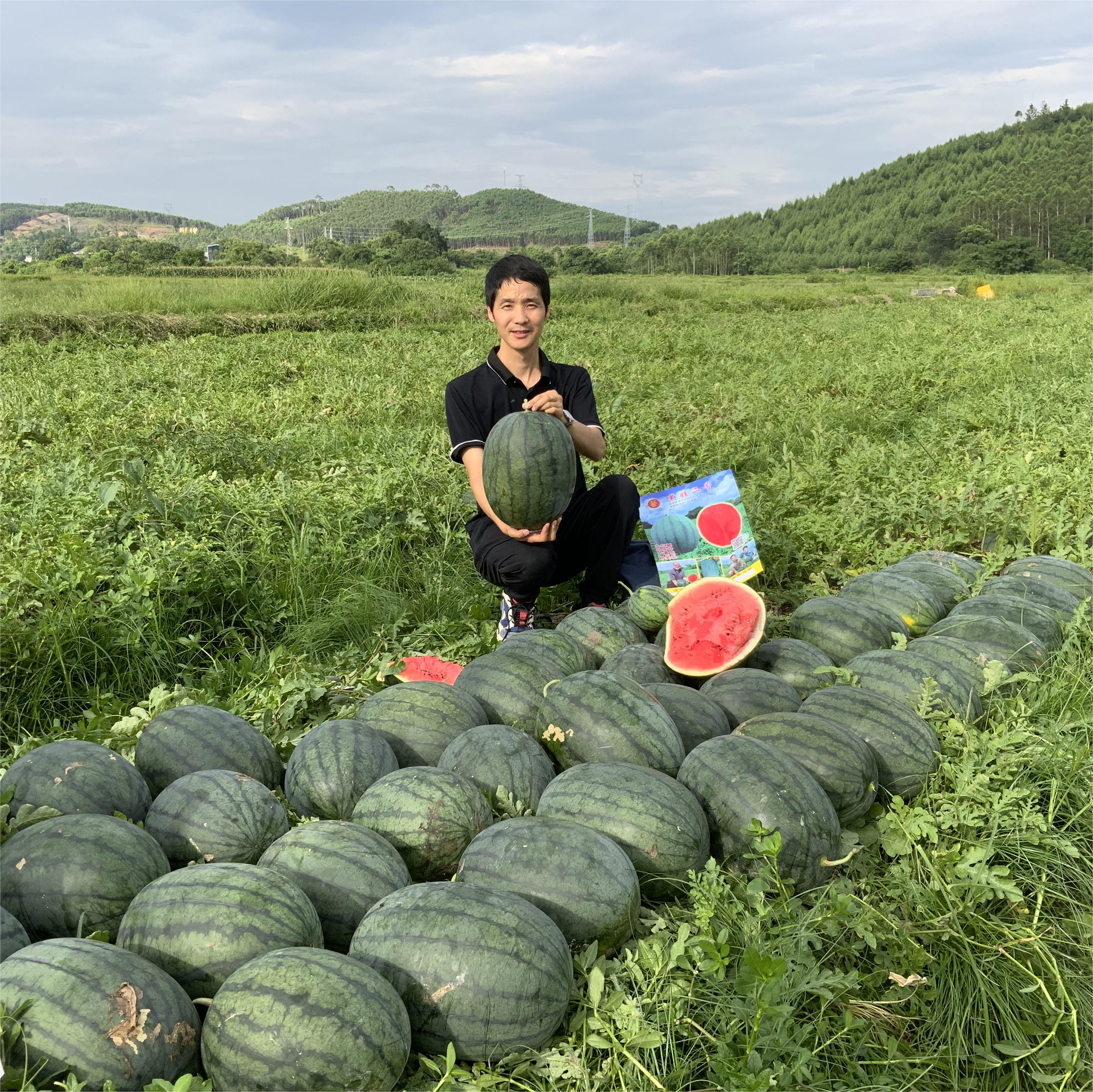 豫藝黑娃二號(hào)